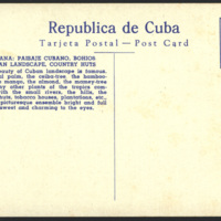 s029.jpg